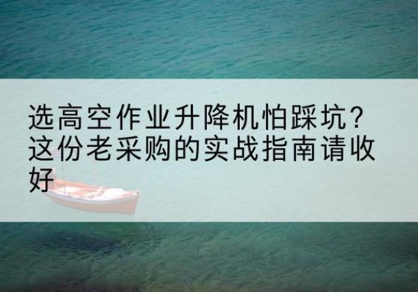 莒县高空作业升降机厂家推荐-选高空作业升降机怕踩坑？这份老采购的实战指南请收好