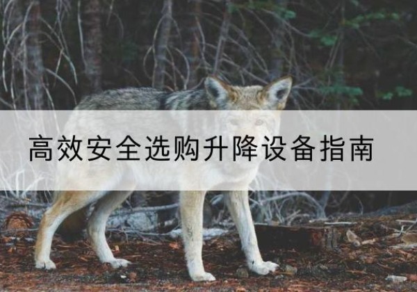 莒县升降货梯厂家推荐-*安全选购升降设备指南