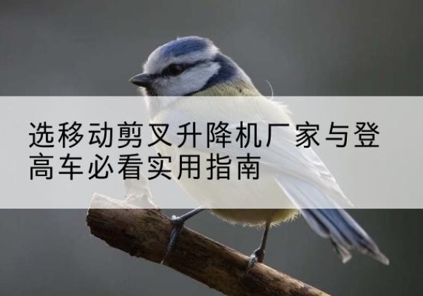 莒县电动升降机厂家-选移动剪叉升降机厂家与登高车必看实用指南